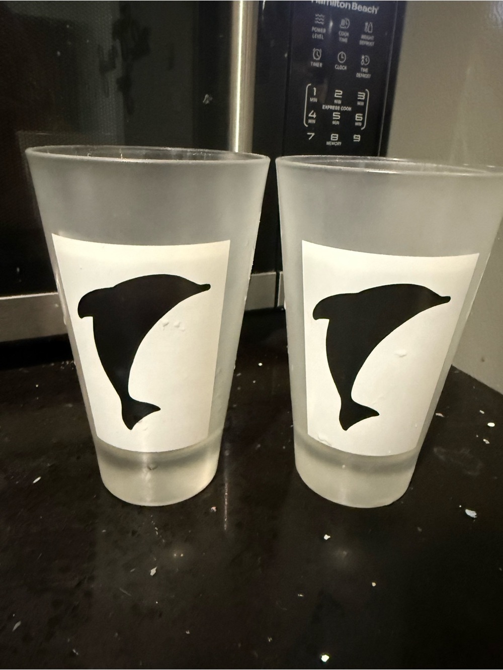 Frosted Glass Tumbler with Black Dolphin Silhouette - Set of 2